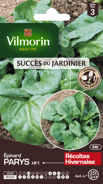 Potagères - Epinard Parys HF1 - face recto